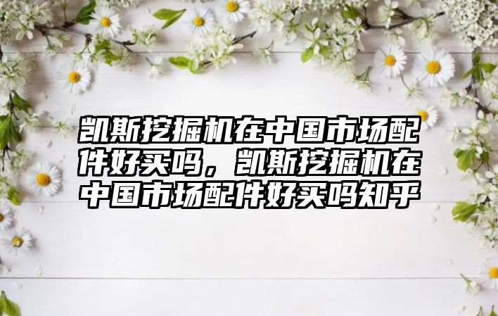 凱斯挖掘機在中國市場配件好買嗎，凱斯挖掘機在中國市場配件好買嗎知乎