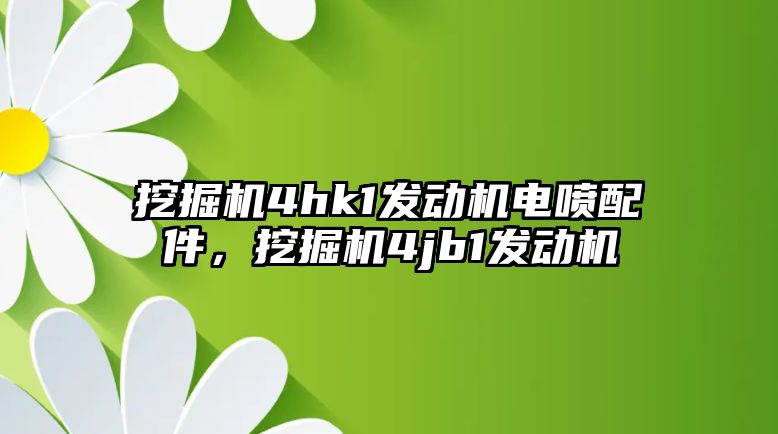 挖掘機4hk1發(fā)動機電噴配件，挖掘機4jb1發(fā)動機