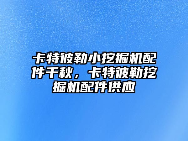 卡特彼勒小挖掘機配件千秋，卡特彼勒挖掘機配件供應