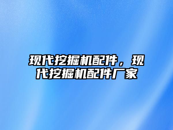 現(xiàn)代挖掘機配件，現(xiàn)代挖掘機配件廠家