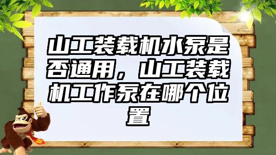 山工裝載機(jī)水泵是否通用，山工裝載機(jī)工作泵在哪個(gè)位置