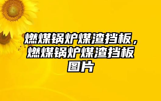 燃煤鍋爐煤渣擋板，燃煤鍋爐煤渣擋板圖片