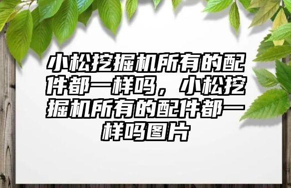 小松挖掘機所有的配件都一樣嗎，小松挖掘機所有的配件都一樣嗎圖片