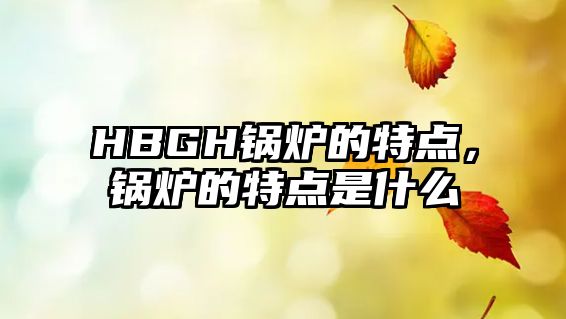 HBGH鍋爐的特點(diǎn)，鍋爐的特點(diǎn)是什么