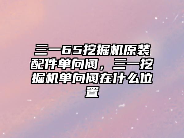 三一65挖掘機(jī)原裝配件單向閥，三一挖掘機(jī)單向閥在什么位置