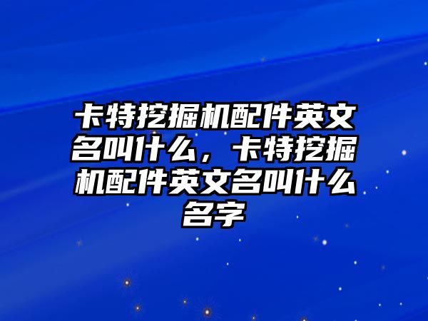 卡特挖掘機(jī)配件英文名叫什么，卡特挖掘機(jī)配件英文名叫什么名字