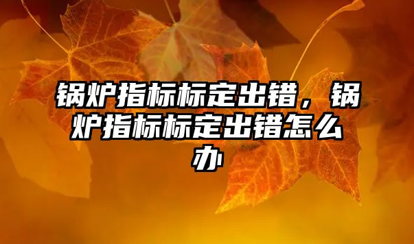 鍋爐指標標定出錯，鍋爐指標標定出錯怎么辦