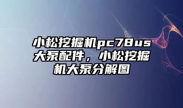 小松挖掘機pc78us大泵配件，小松挖掘機大泵分解圖