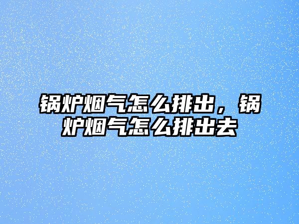 鍋爐煙氣怎么排出，鍋爐煙氣怎么排出去