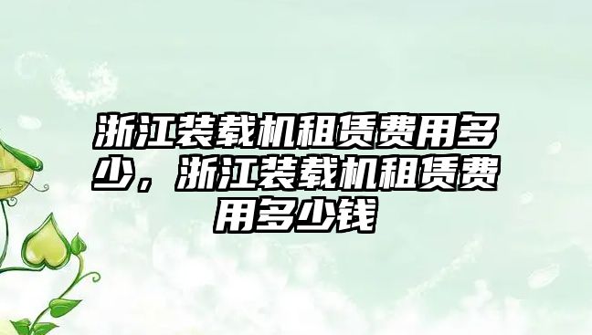 浙江裝載機(jī)租賃費(fèi)用多少，浙江裝載機(jī)租賃費(fèi)用多少錢(qián)