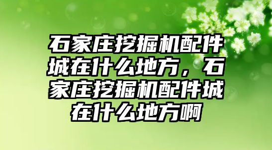 石家莊挖掘機(jī)配件城在什么地方，石家莊挖掘機(jī)配件城在什么地方啊