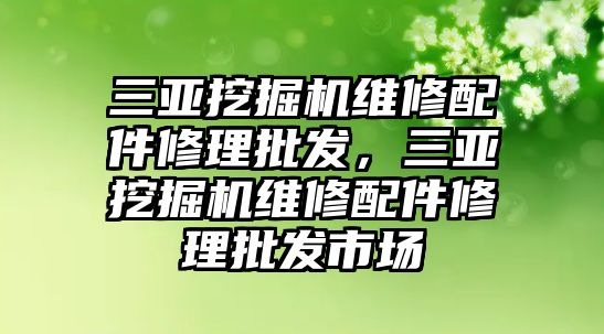 三亞挖掘機(jī)維修配件修理批發(fā)，三亞挖掘機(jī)維修配件修理批發(fā)市場