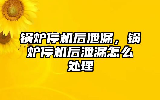 鍋爐停機(jī)后泄漏，鍋爐停機(jī)后泄漏怎么處理