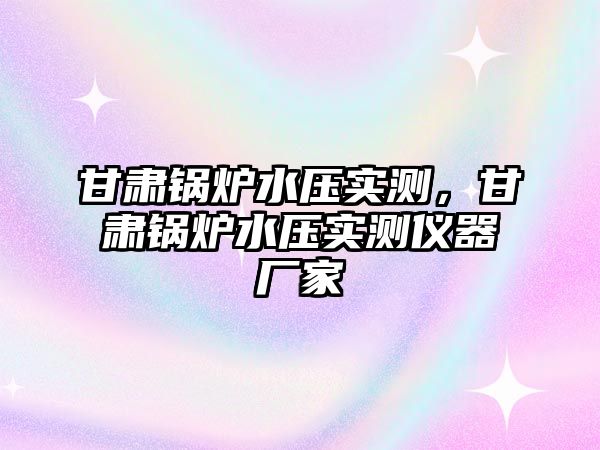 甘肅鍋爐水壓實測，甘肅鍋爐水壓實測儀器廠家