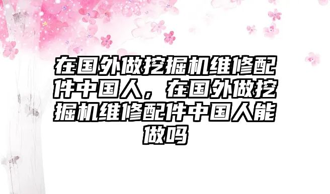 在國外做挖掘機維修配件中國人，在國外做挖掘機維修配件中國人能做嗎