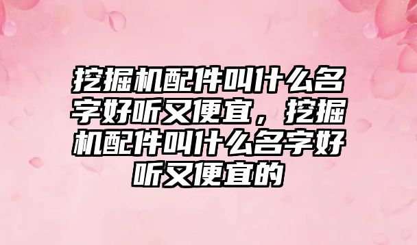 挖掘機配件叫什么名字好聽又便宜，挖掘機配件叫什么名字好聽又便宜的