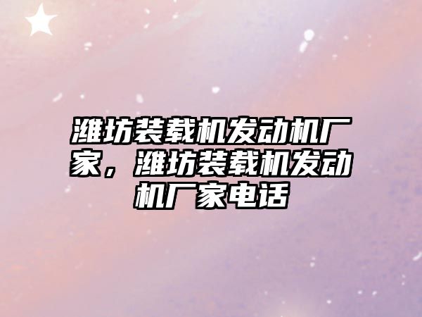 濰坊裝載機發(fā)動機廠家，濰坊裝載機發(fā)動機廠家電話