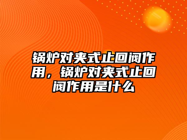 鍋爐對(duì)夾式止回閥作用，鍋爐對(duì)夾式止回閥作用是什么