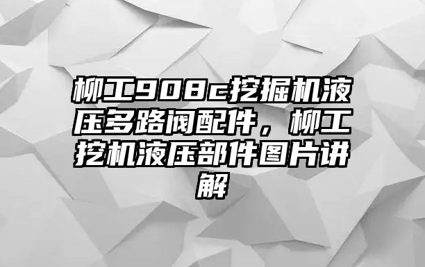 柳工908c挖掘機液壓多路閥配件，柳工挖機液壓部件圖片講解