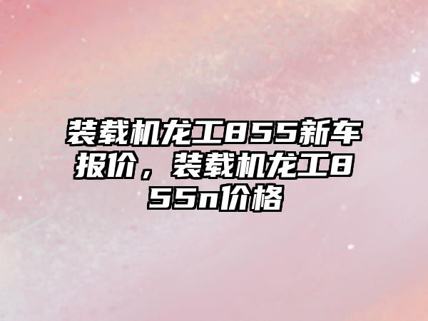 裝載機龍工855新車報價，裝載機龍工855n價格