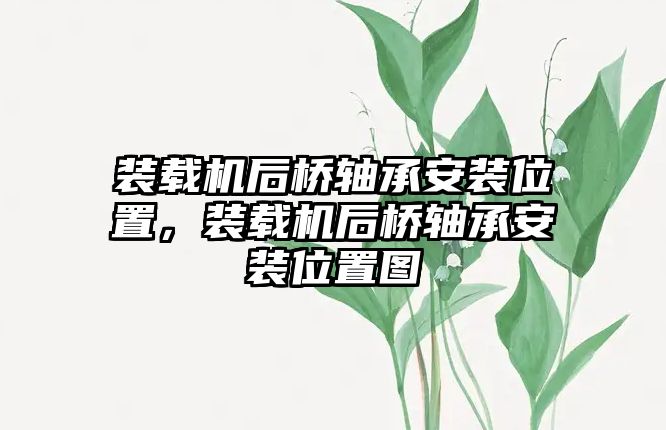 裝載機(jī)后橋軸承安裝位置，裝載機(jī)后橋軸承安裝位置圖