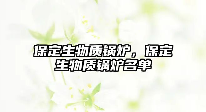 保定生物質(zhì)鍋爐，保定生物質(zhì)鍋爐名單