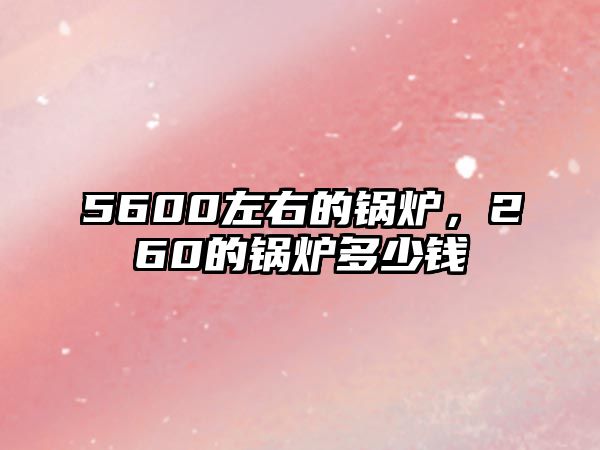 5600左右的鍋爐，260的鍋爐多少錢