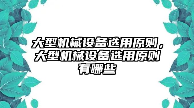 大型機(jī)械設(shè)備選用原則，大型機(jī)械設(shè)備選用原則有哪些