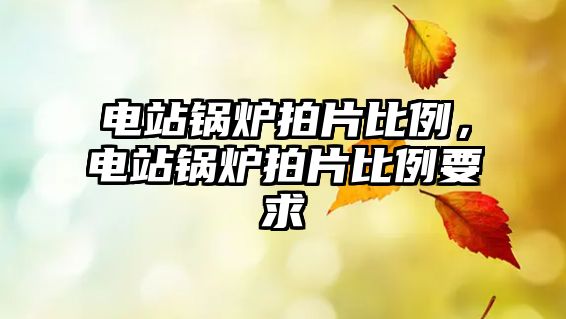 電站鍋爐拍片比例，電站鍋爐拍片比例要求