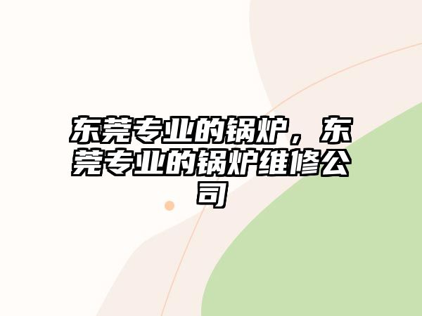 東莞專業(yè)的鍋爐，東莞專業(yè)的鍋爐維修公司