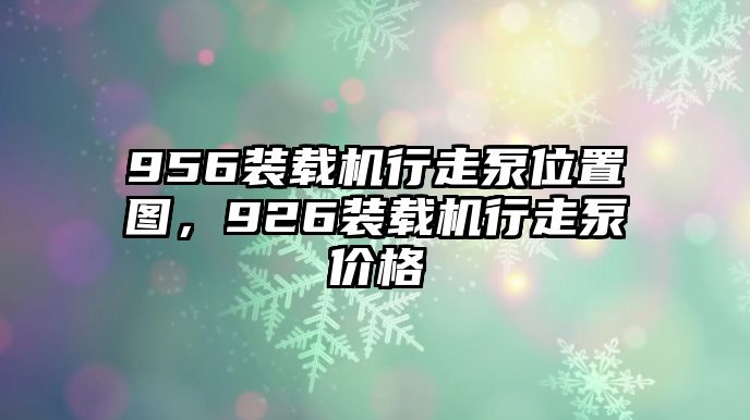 956裝載機行走泵位置圖，926裝載機行走泵價格