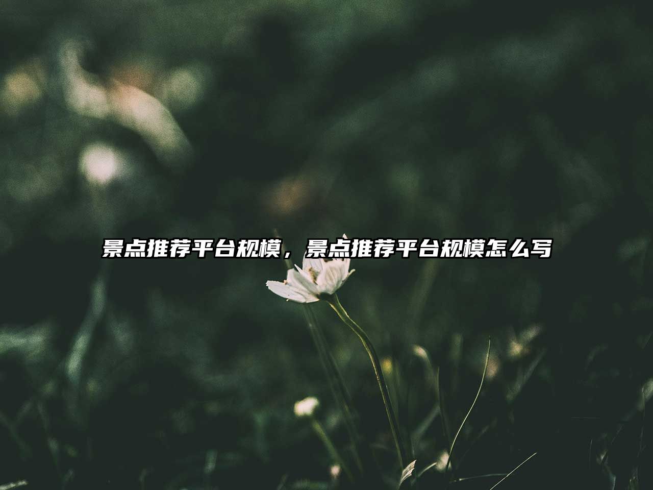 景點推薦平臺規(guī)模，景點推薦平臺規(guī)模怎么寫