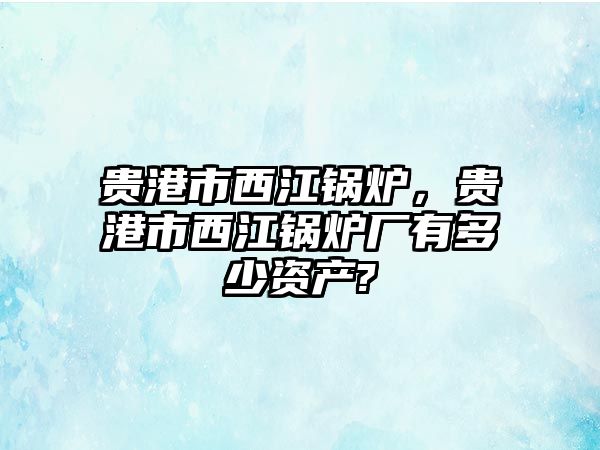 貴港市西江鍋爐，貴港市西江鍋爐廠有多少資產(chǎn)?