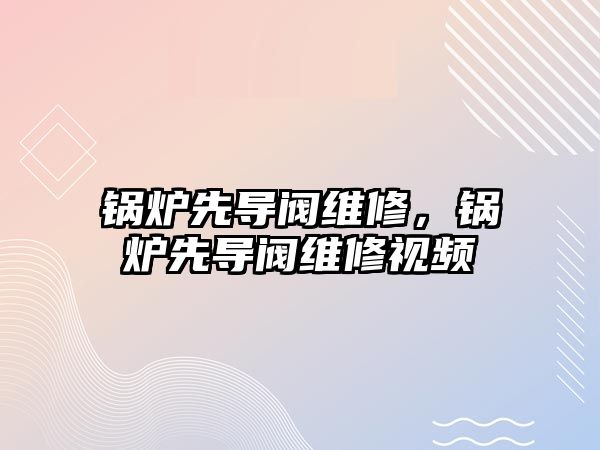 鍋爐先導(dǎo)閥維修，鍋爐先導(dǎo)閥維修視頻