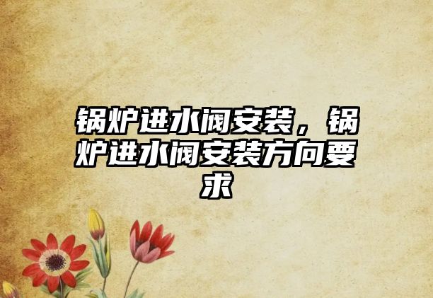 鍋爐進(jìn)水閥安裝，鍋爐進(jìn)水閥安裝方向要求