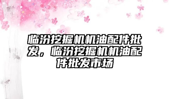 臨汾挖掘機機油配件批發(fā)，臨汾挖掘機機油配件批發(fā)市場