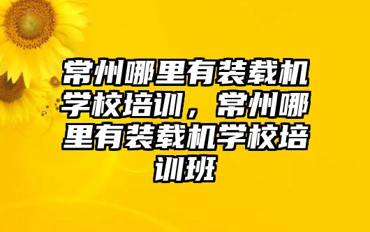 常州哪里有裝載機(jī)學(xué)校培訓(xùn)，常州哪里有裝載機(jī)學(xué)校培訓(xùn)班